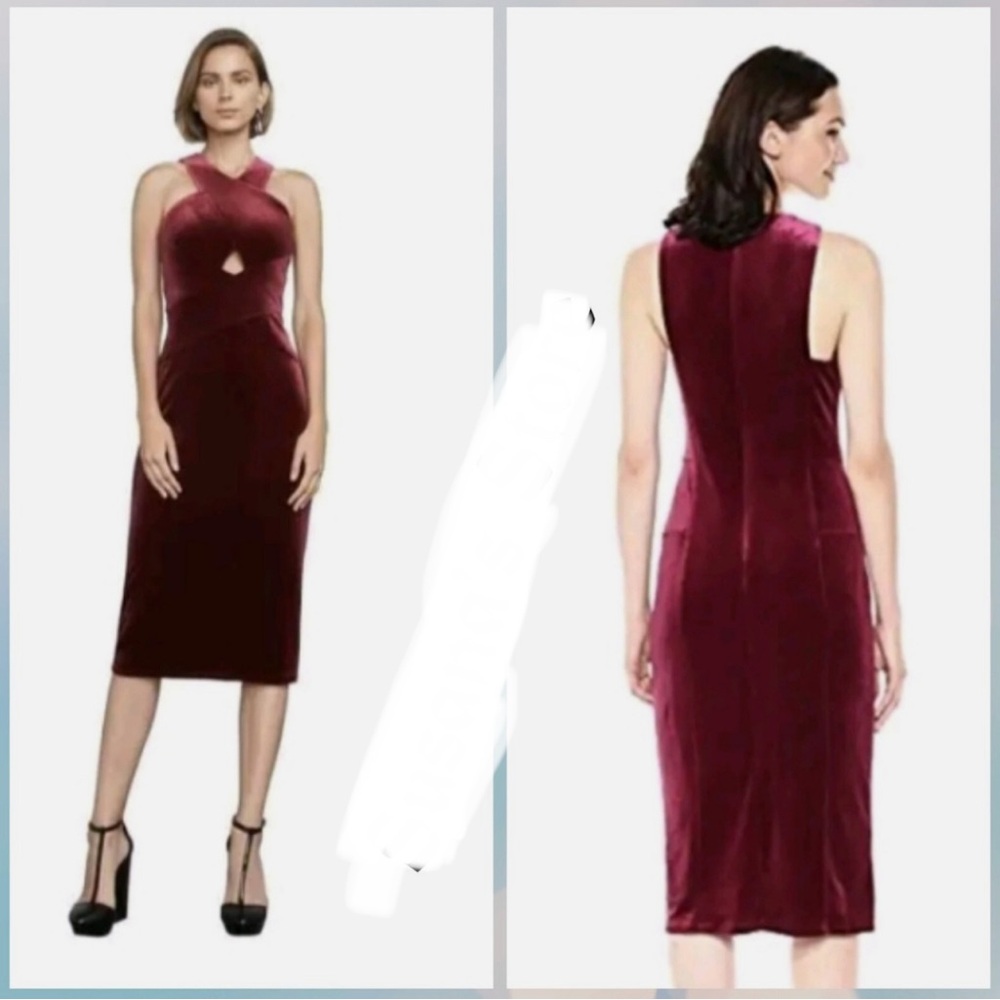 BCBG MaxAzria Burgundy Vintage Velvet Dress - Small